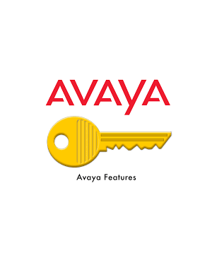 Avaya IP Office R9 Voice Networking 4 ADI License